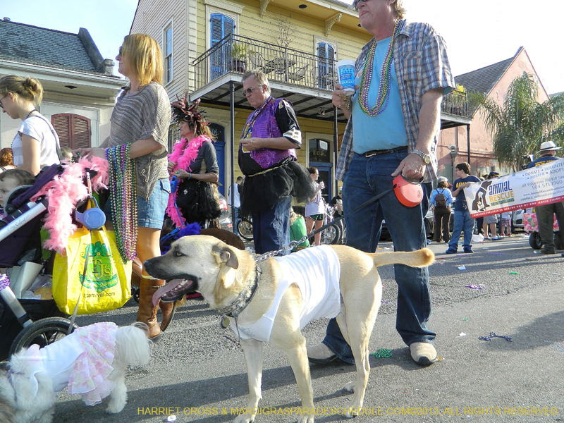 Mystic-Krewe-of-Barkus-HC-2013-1173