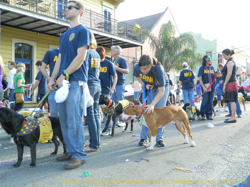 Mystic-Krewe-of-Barkus-HC-2013-1176