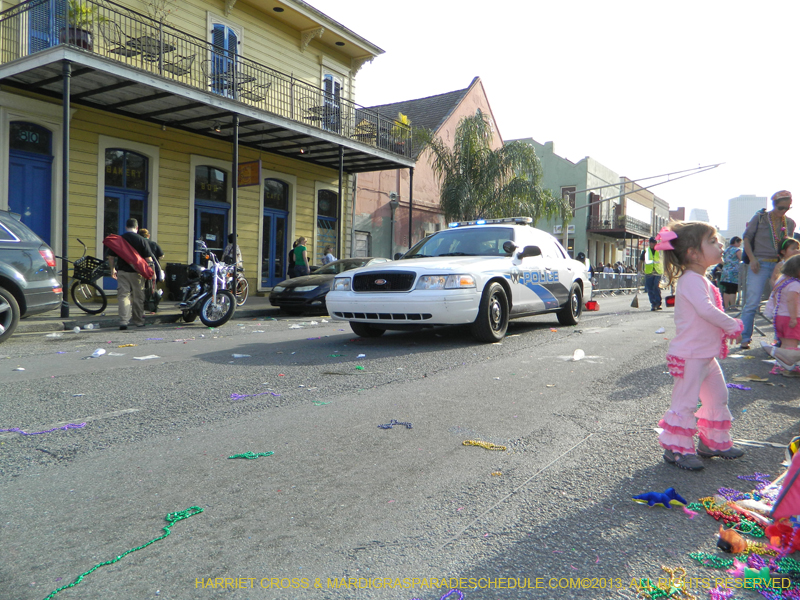 Mystic-Krewe-of-Barkus-HC-2013-1180