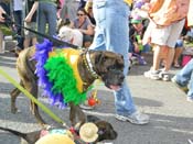 Mystic-Krewe-of-Barkus-HC-2013-1092