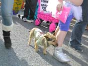 Mystic-Krewe-of-Barkus-HC-2013-1094