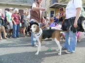 Mystic-Krewe-of-Barkus-HC-2013-1101