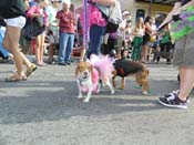 Mystic-Krewe-of-Barkus-HC-2013-1104