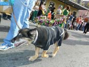 Mystic-Krewe-of-Barkus-HC-2013-1106