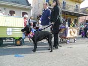 Mystic-Krewe-of-Barkus-HC-2013-1131
