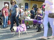 Mystic-Krewe-of-Barkus-HC-2013-1132