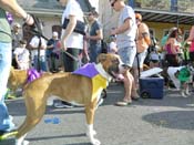 Mystic-Krewe-of-Barkus-HC-2013-1133
