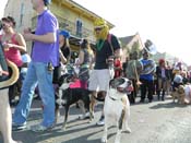 Mystic-Krewe-of-Barkus-HC-2013-1134