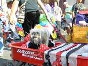 Mystic-Krewe-of-Barkus-HC-2013-1140