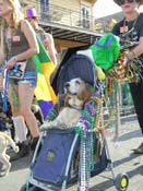 Mystic-Krewe-of-Barkus-HC-2013-1142