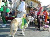 Mystic-Krewe-of-Barkus-HC-2013-1146