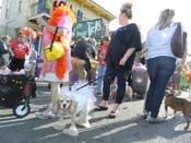 Mystic-Krewe-of-Barkus-HC-2013-1148