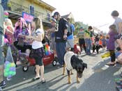 Mystic-Krewe-of-Barkus-HC-2013-1152