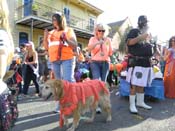 Mystic-Krewe-of-Barkus-HC-2013-1155
