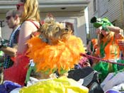 Mystic-Krewe-of-Barkus-HC-2013-1157