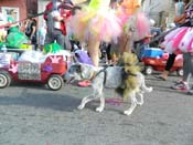 Mystic-Krewe-of-Barkus-HC-2013-1160