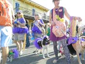 Mystic-Krewe-of-Barkus-HC-2013-1163