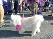 Mystic-Krewe-of-Barkus-HC-2013-1165
