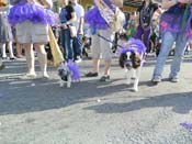 Mystic-Krewe-of-Barkus-HC-2013-1166