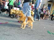 Mystic-Krewe-of-Barkus-HC-2013-1170
