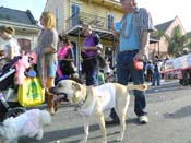 Mystic-Krewe-of-Barkus-HC-2013-1173
