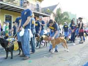 Mystic-Krewe-of-Barkus-HC-2013-1176