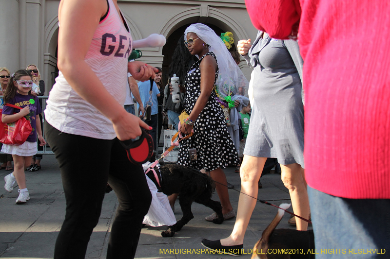 Mystic-Krewe-of-Barkus-2013-1113