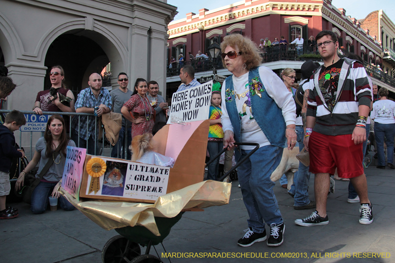 Mystic-Krewe-of-Barkus-2013-1119