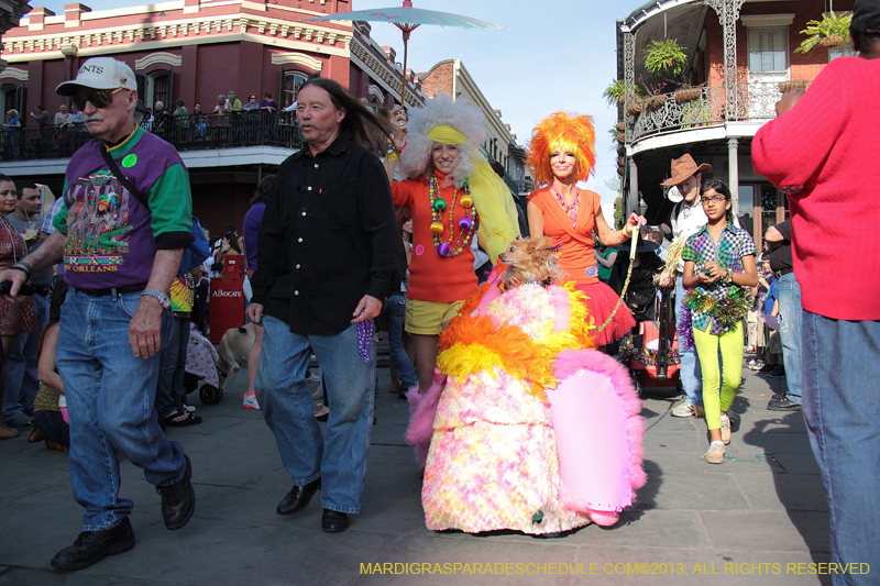 Mystic-Krewe-of-Barkus-2013-1120
