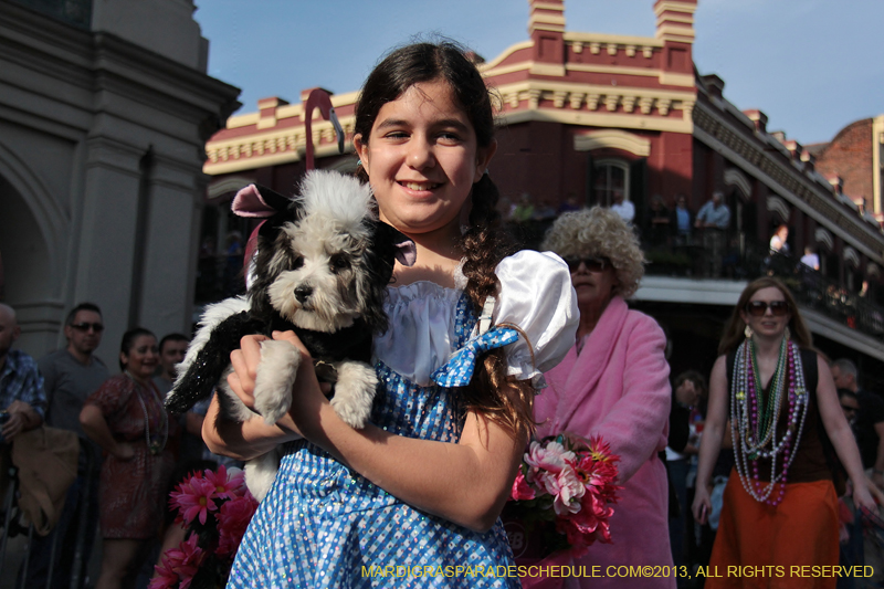 Mystic-Krewe-of-Barkus-2013-1123