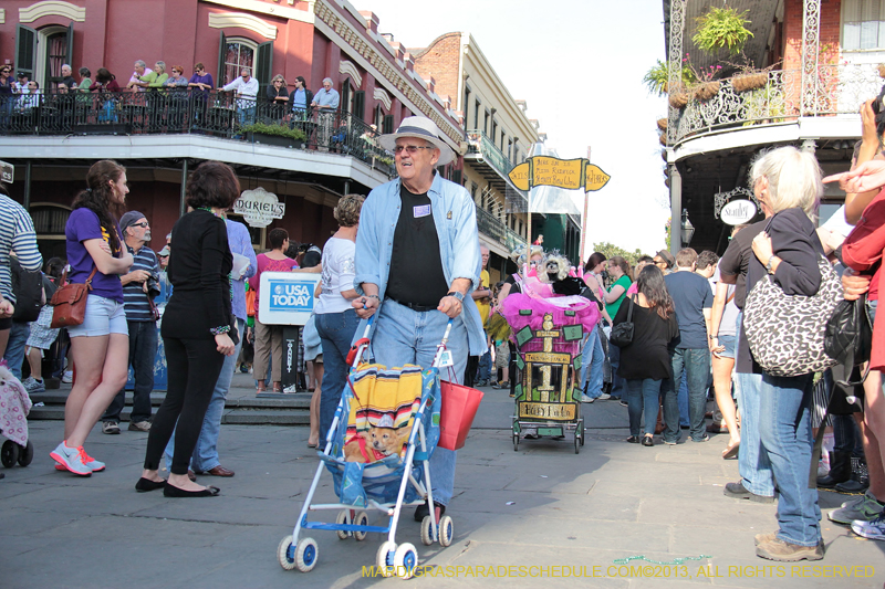 Mystic-Krewe-of-Barkus-2013-1129
