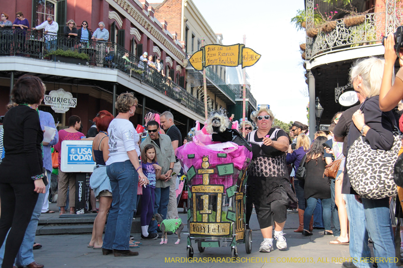 Mystic-Krewe-of-Barkus-2013-1130