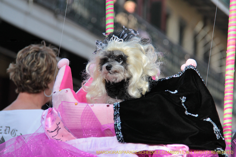Mystic-Krewe-of-Barkus-2013-1131