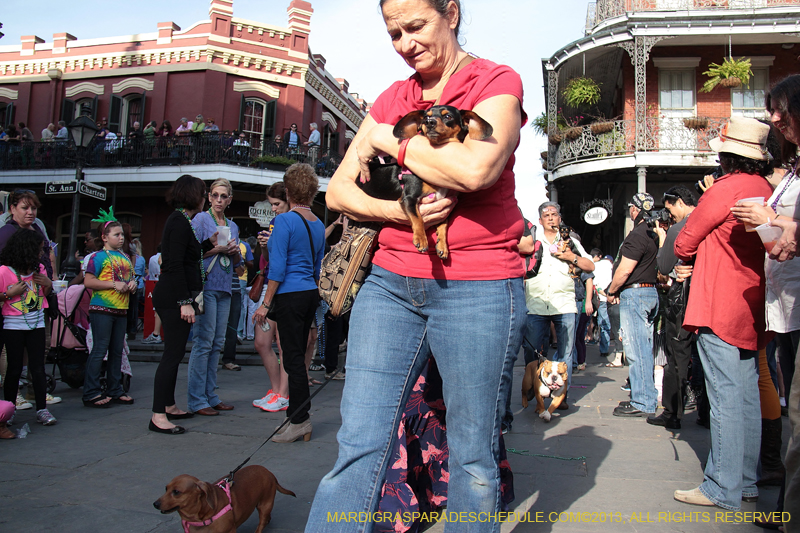 Mystic-Krewe-of-Barkus-2013-1136