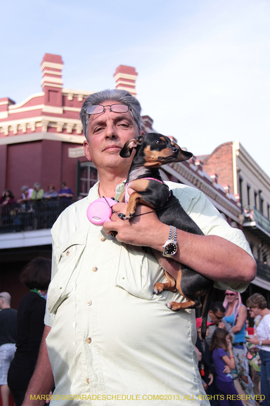 Mystic-Krewe-of-Barkus-2013-1139