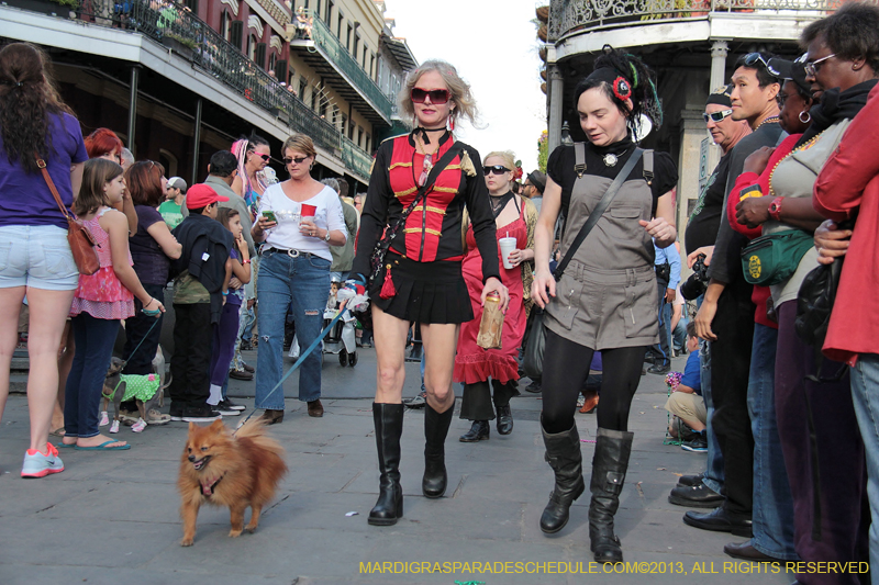 Mystic-Krewe-of-Barkus-2013-1140