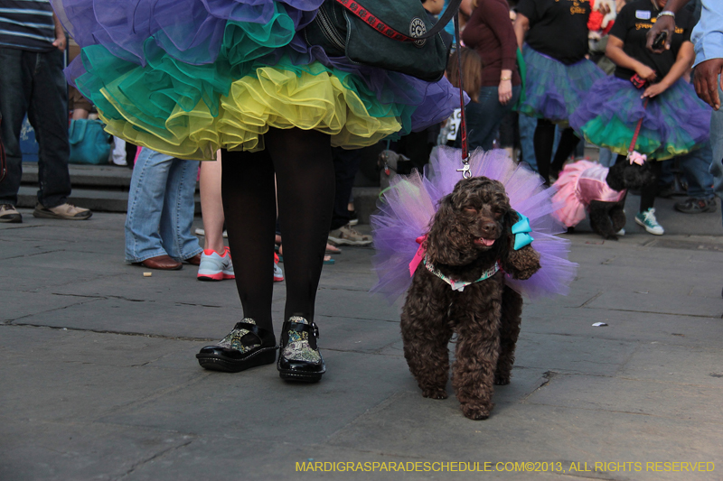 Mystic-Krewe-of-Barkus-2013-1144