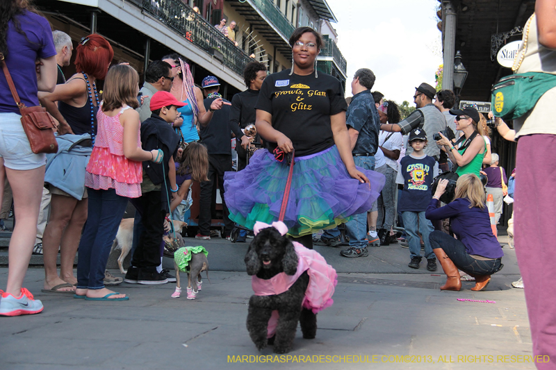 Mystic-Krewe-of-Barkus-2013-1146