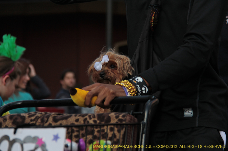 Mystic-Krewe-of-Barkus-2013-1148
