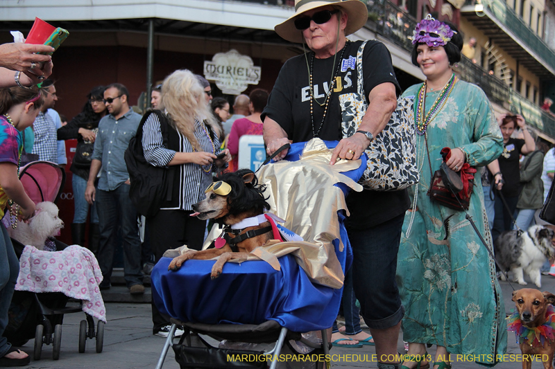 Mystic-Krewe-of-Barkus-2013-1151