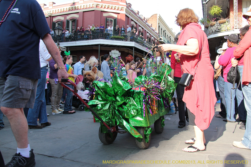 Mystic-Krewe-of-Barkus-2013-1157