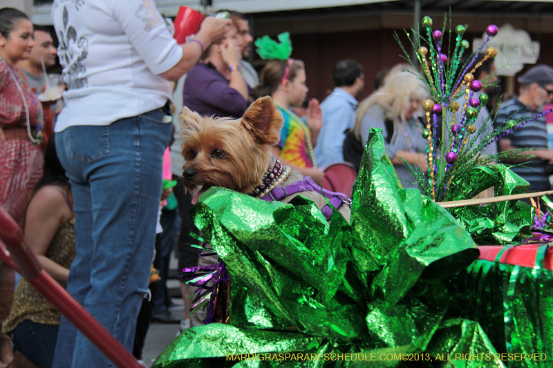 Mystic-Krewe-of-Barkus-2013-1158