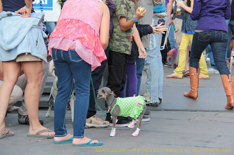 Mystic-Krewe-of-Barkus-2013-1164