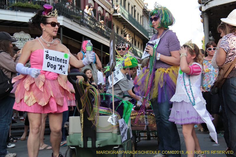 Mystic-Krewe-of-Barkus-2013-1176