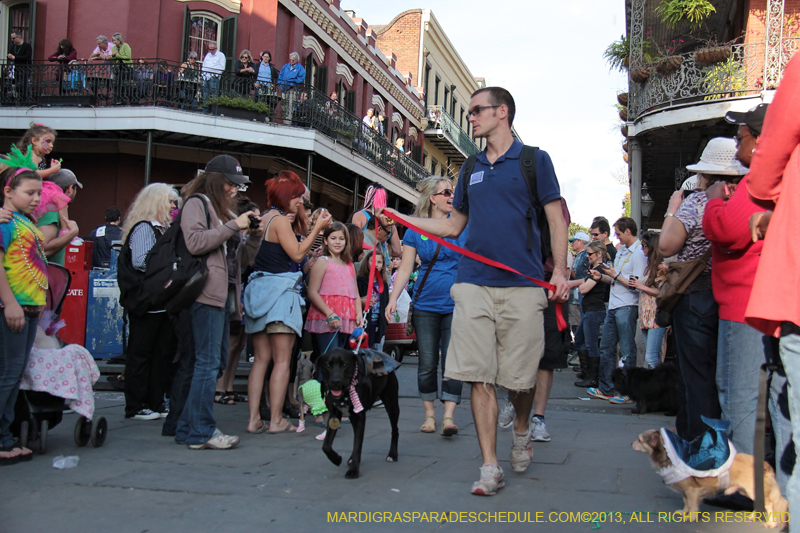 Mystic-Krewe-of-Barkus-2013-1188