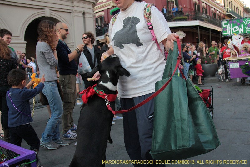 Mystic-Krewe-of-Barkus-2013-1561
