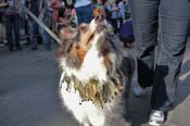 Mystic-Krewe-of-Barkus-2013-1156