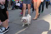 Mystic-Krewe-of-Barkus-2013-1161