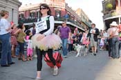 Mystic-Krewe-of-Barkus-2013-1174