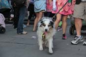 Mystic-Krewe-of-Barkus-2013-1175